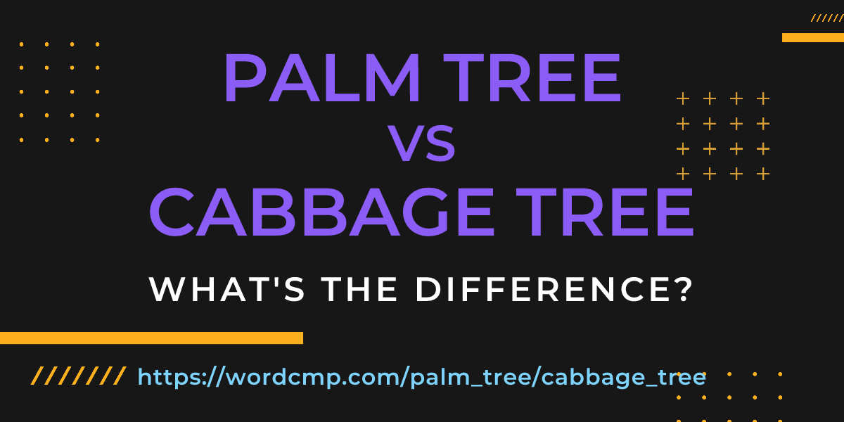 Difference between palm tree and cabbage tree