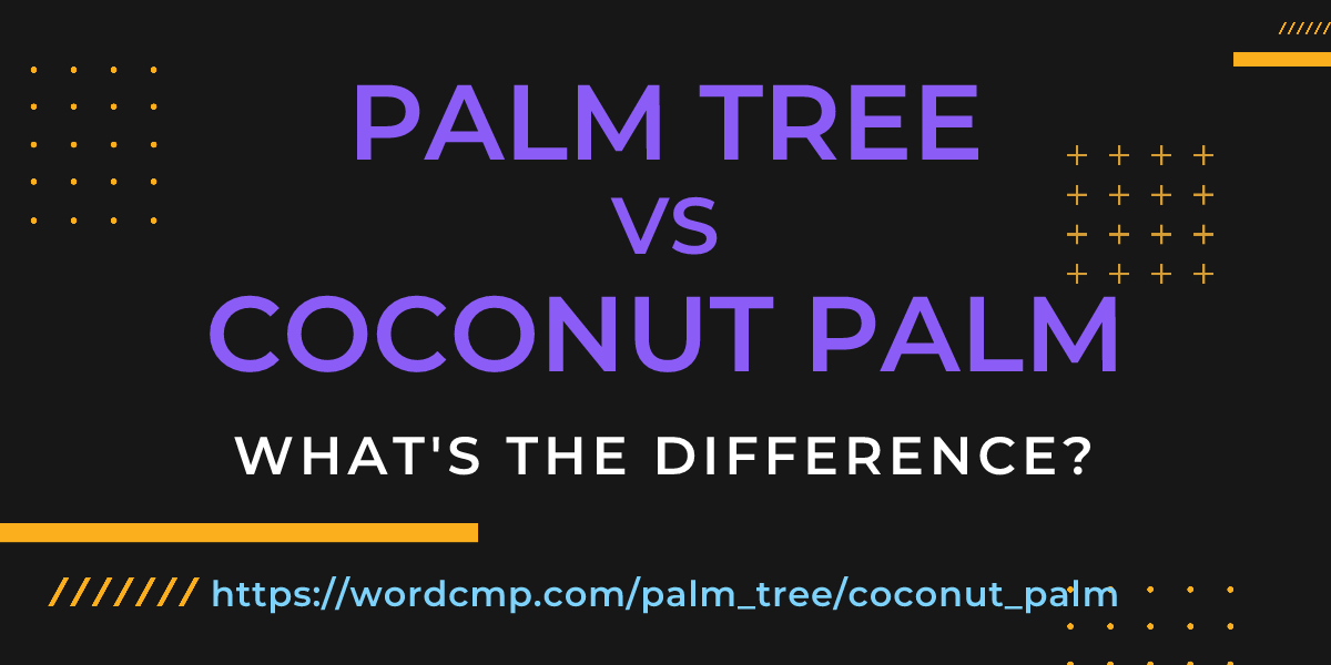 Difference between palm tree and coconut palm