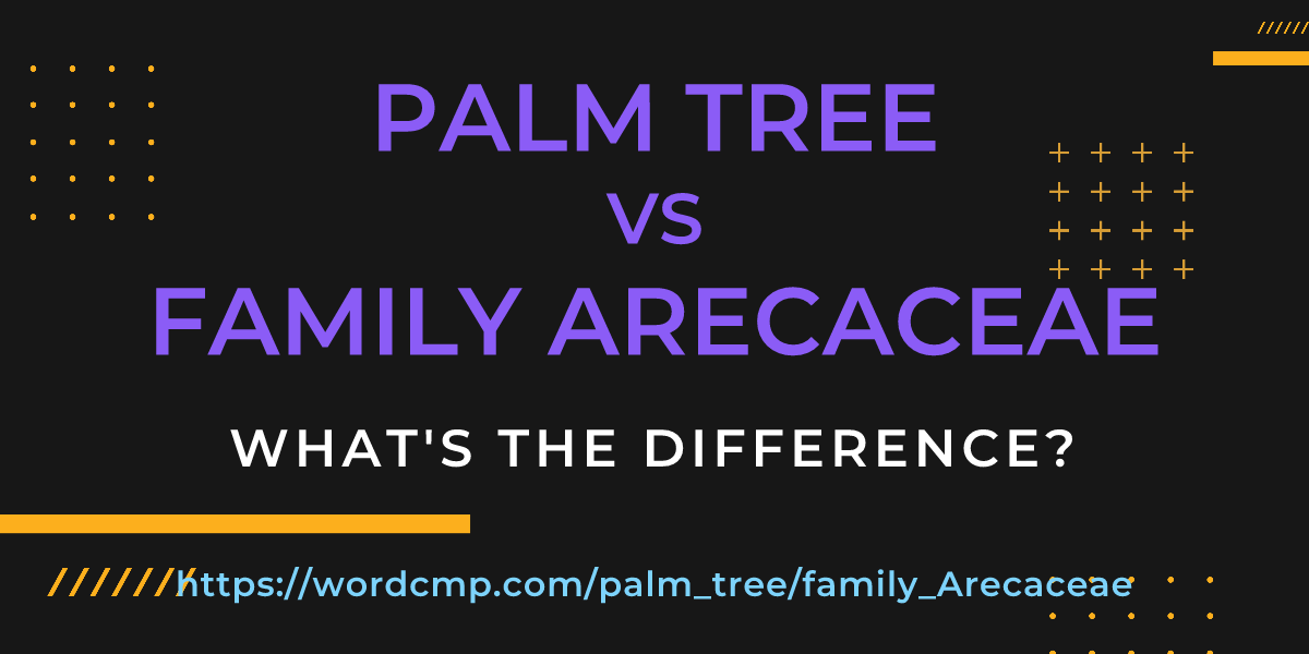 Difference between palm tree and family Arecaceae