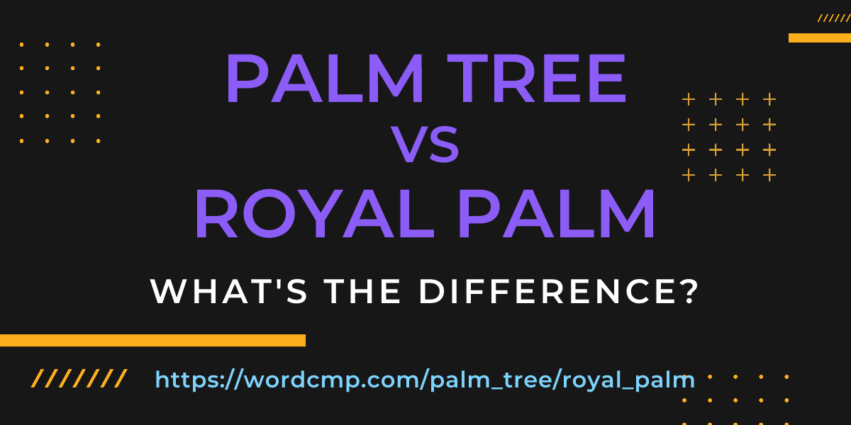 Difference between palm tree and royal palm