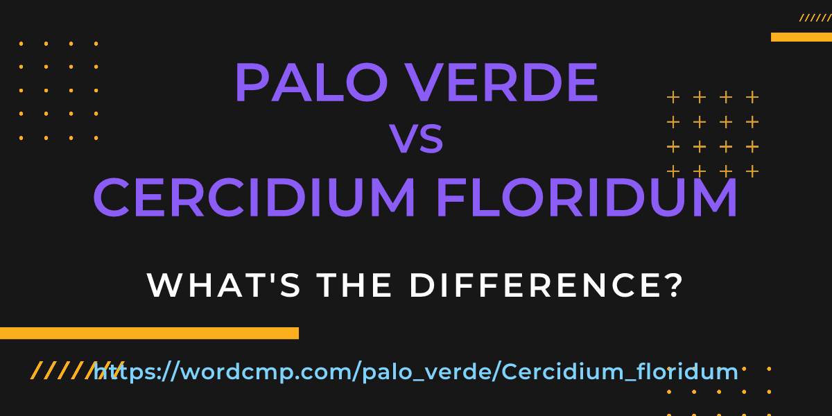 Difference between palo verde and Cercidium floridum