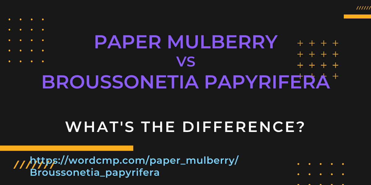 Difference between paper mulberry and Broussonetia papyrifera