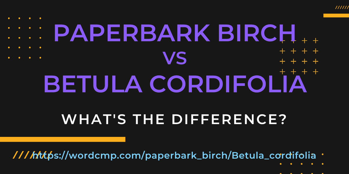 Difference between paperbark birch and Betula cordifolia