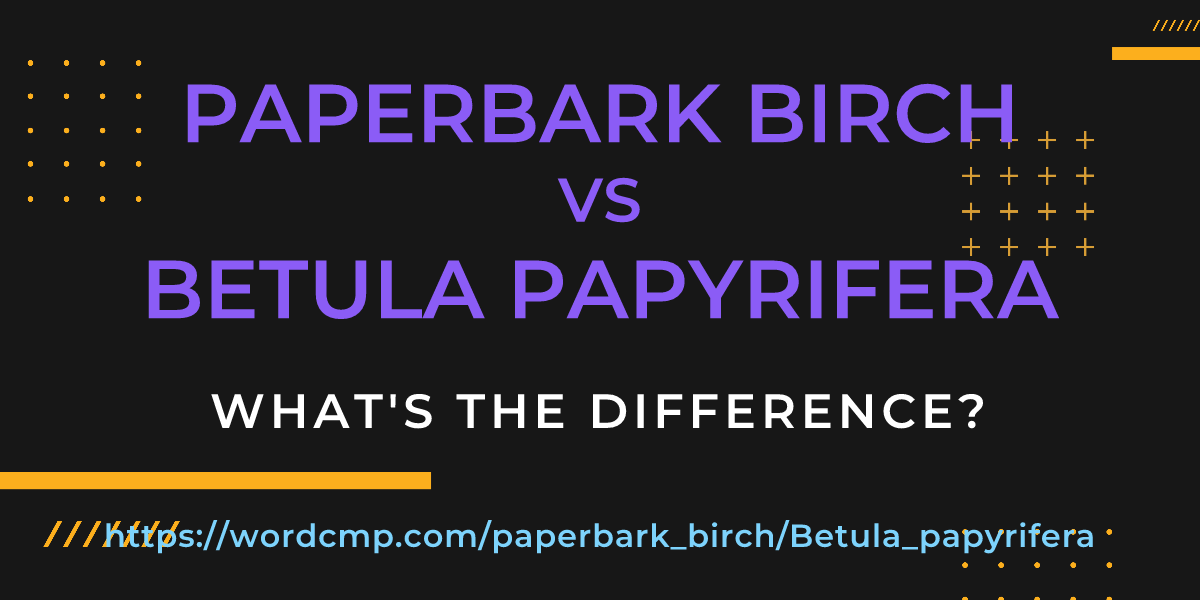 Difference between paperbark birch and Betula papyrifera