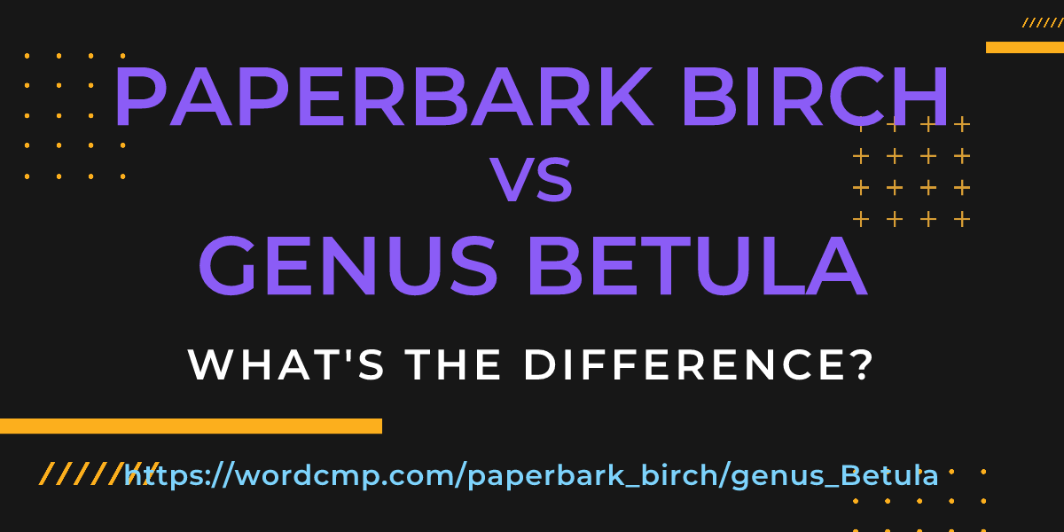 Difference between paperbark birch and genus Betula
