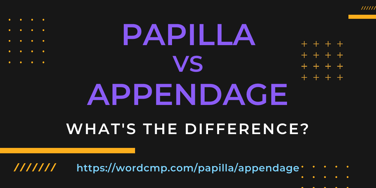 Difference between papilla and appendage