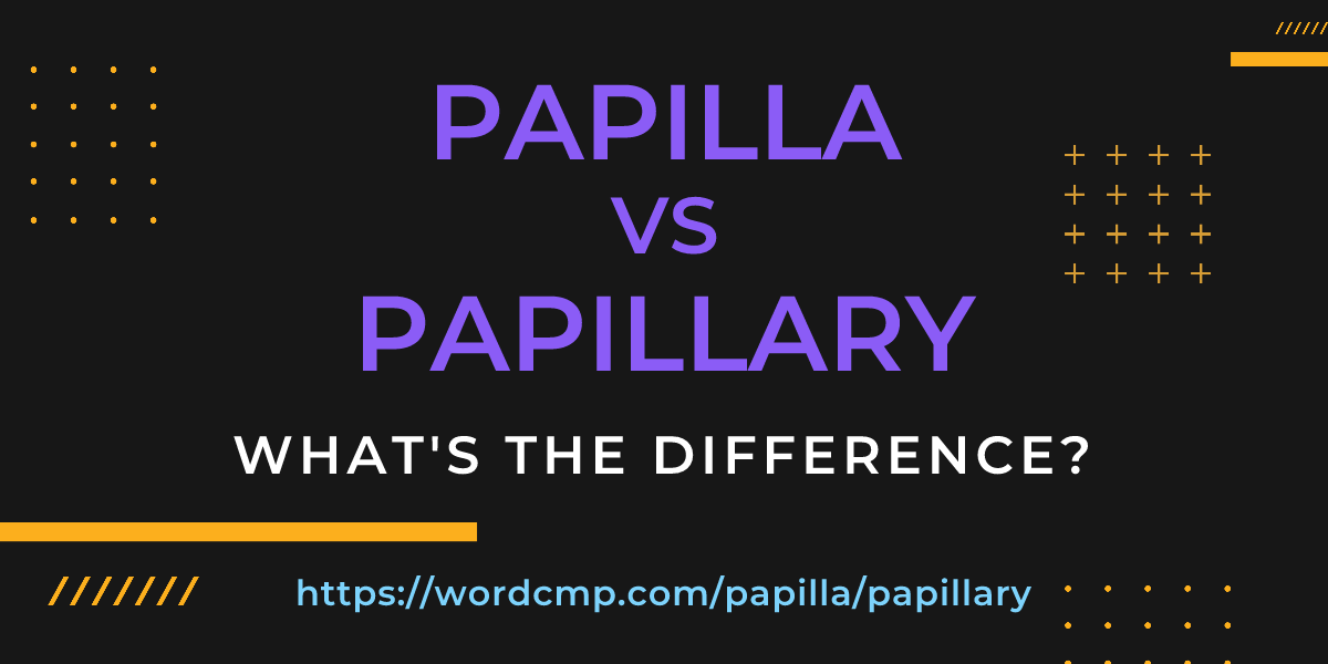 Difference between papilla and papillary