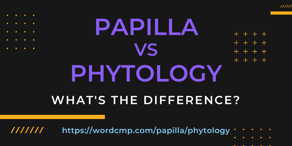 Difference between papilla and phytology