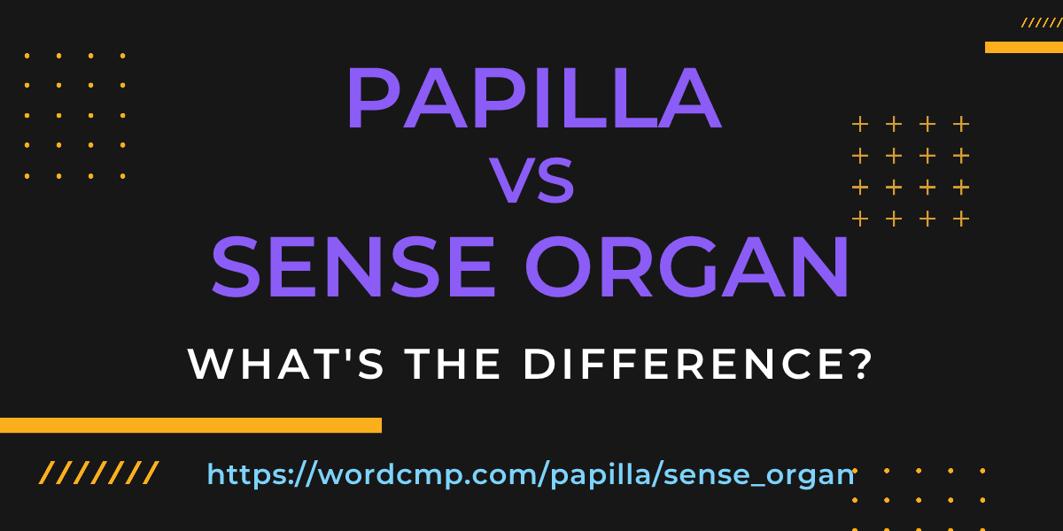 Difference between papilla and sense organ