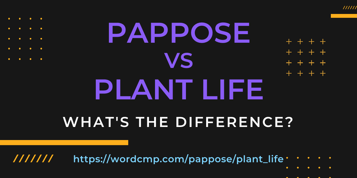Difference between pappose and plant life