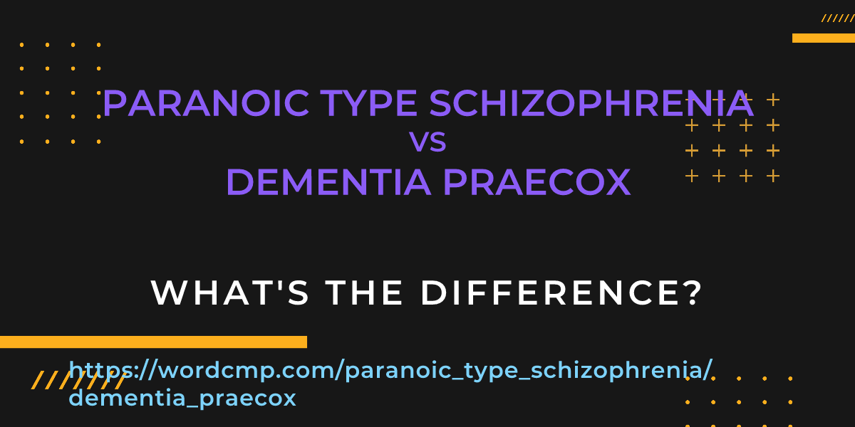 Difference between paranoic type schizophrenia and dementia praecox