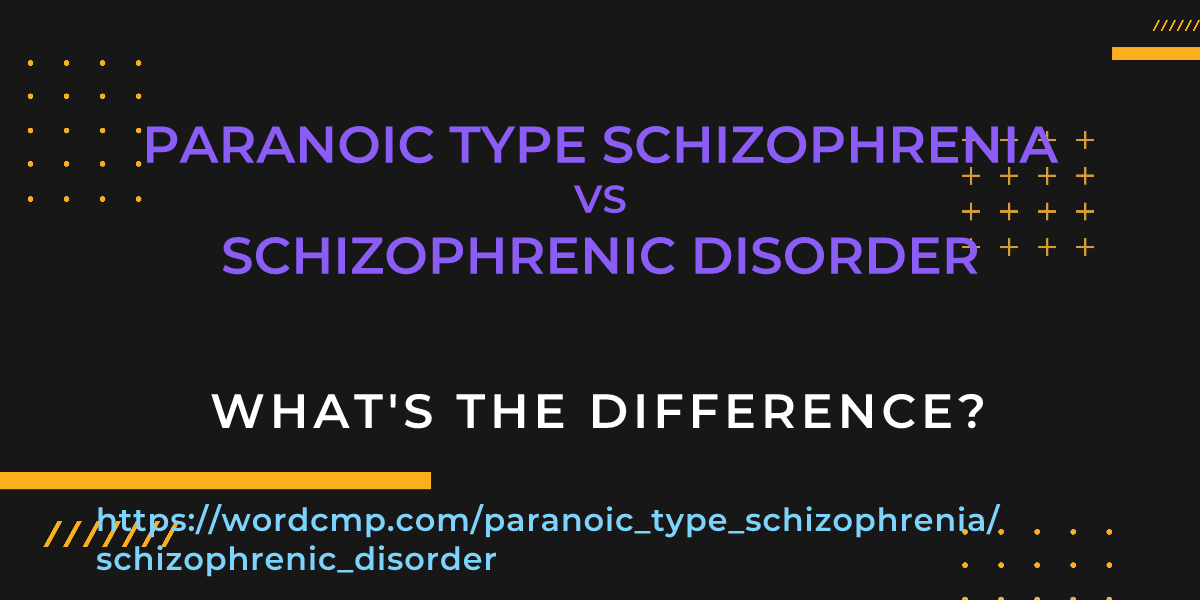 Difference between paranoic type schizophrenia and schizophrenic disorder