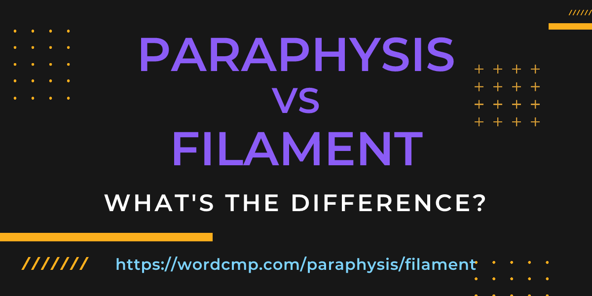 Difference between paraphysis and filament