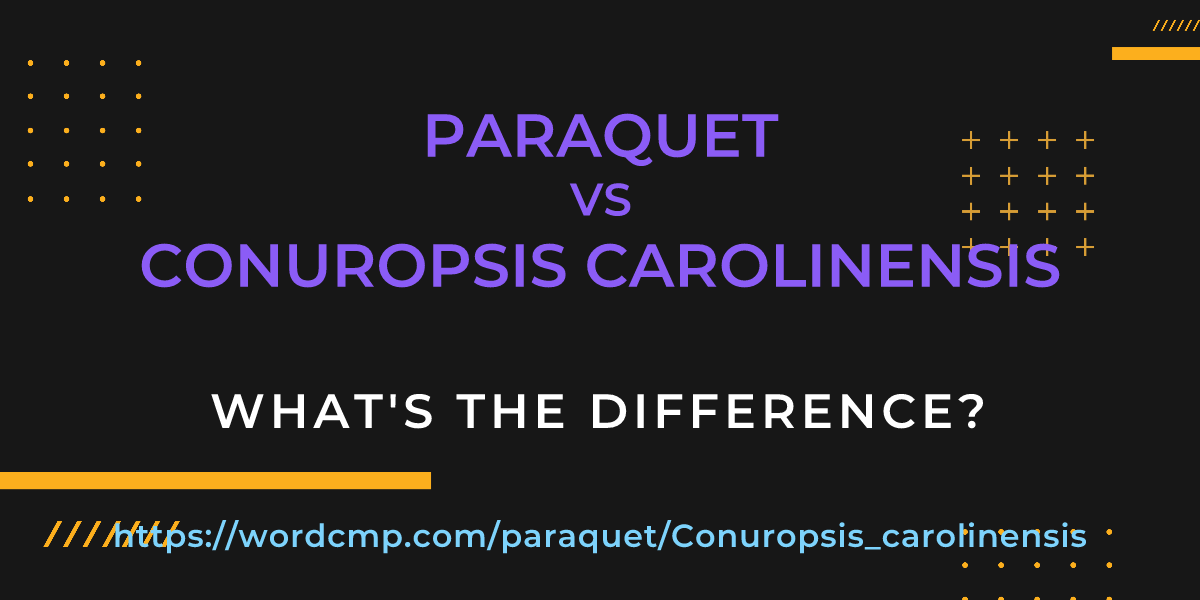 Difference between paraquet and Conuropsis carolinensis
