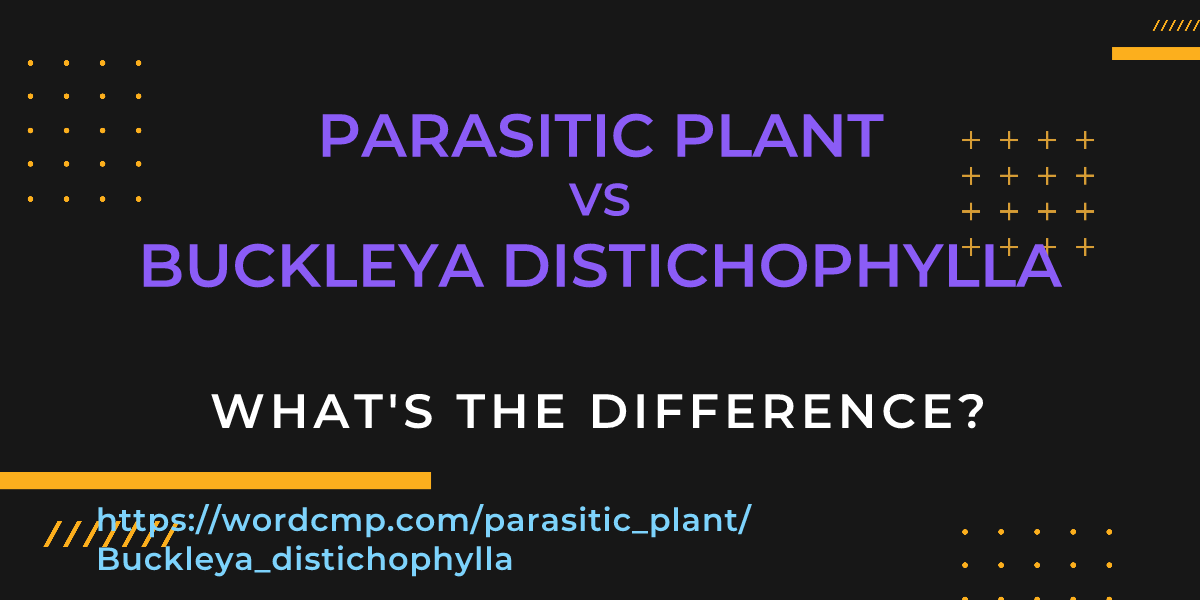 Difference between parasitic plant and Buckleya distichophylla