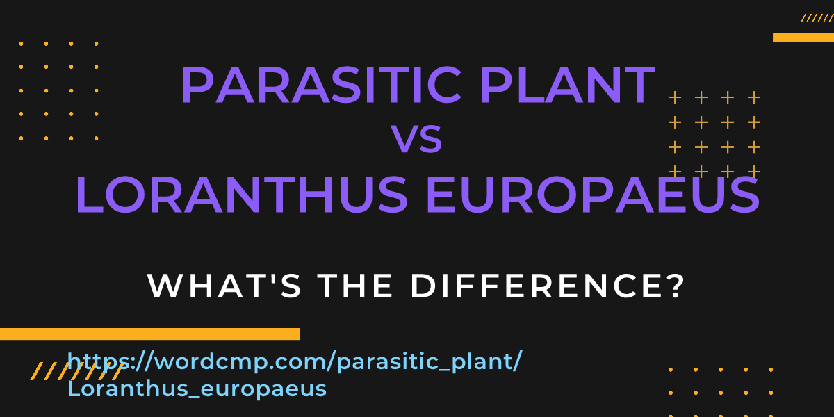 Difference between parasitic plant and Loranthus europaeus