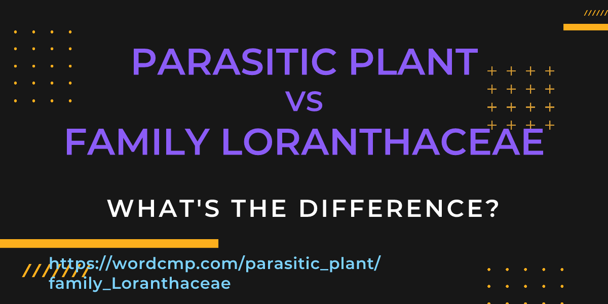 Difference between parasitic plant and family Loranthaceae