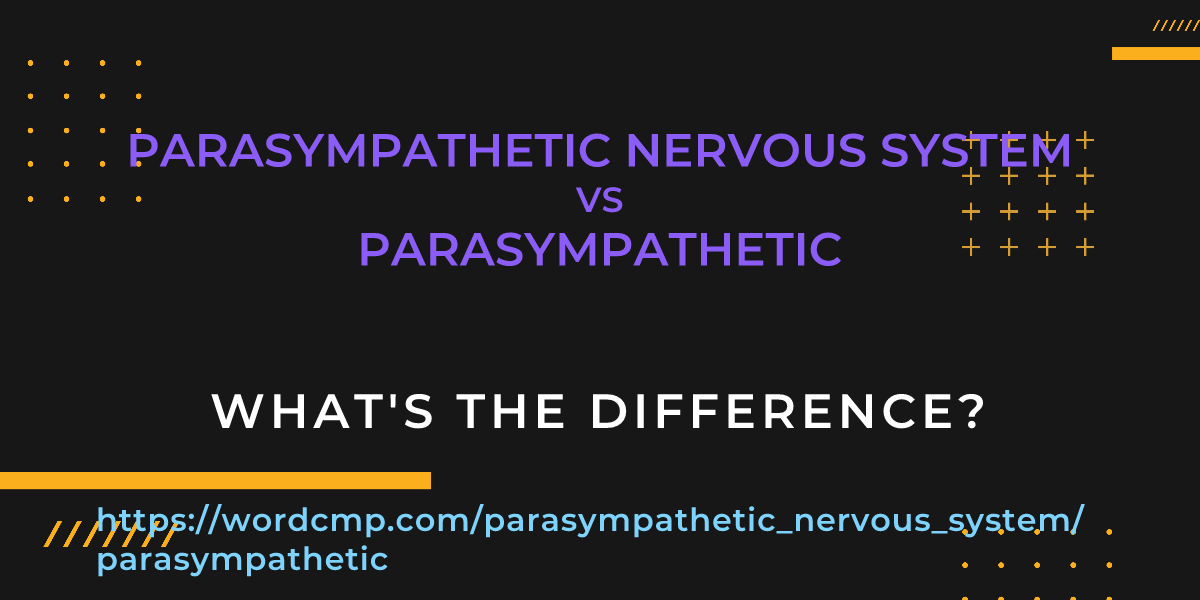 Difference between parasympathetic nervous system and parasympathetic