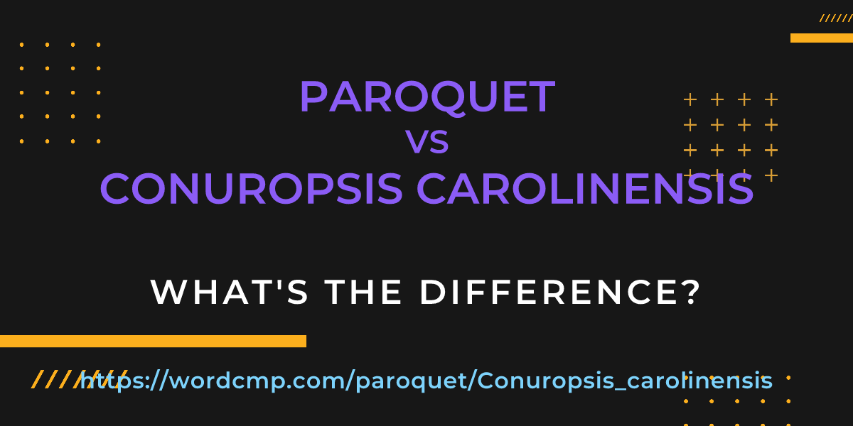 Difference between paroquet and Conuropsis carolinensis