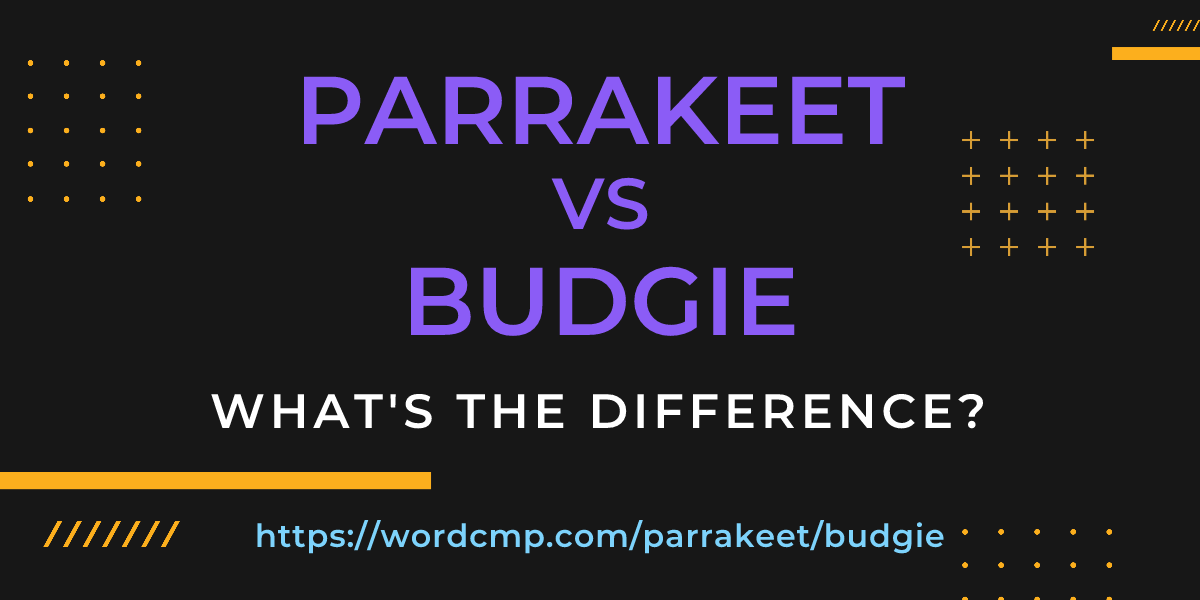Difference between parrakeet and budgie
