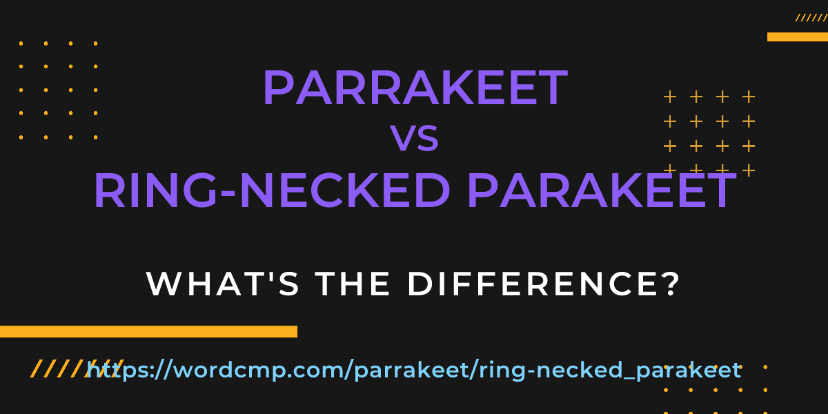Difference between parrakeet and ring-necked parakeet