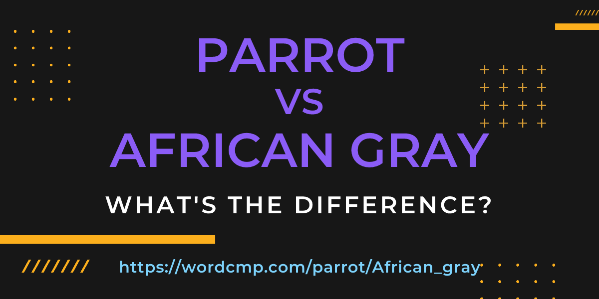 Difference between parrot and African gray
