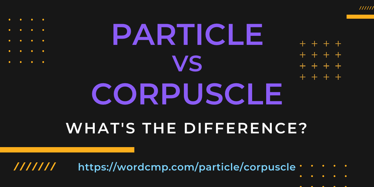Difference between particle and corpuscle