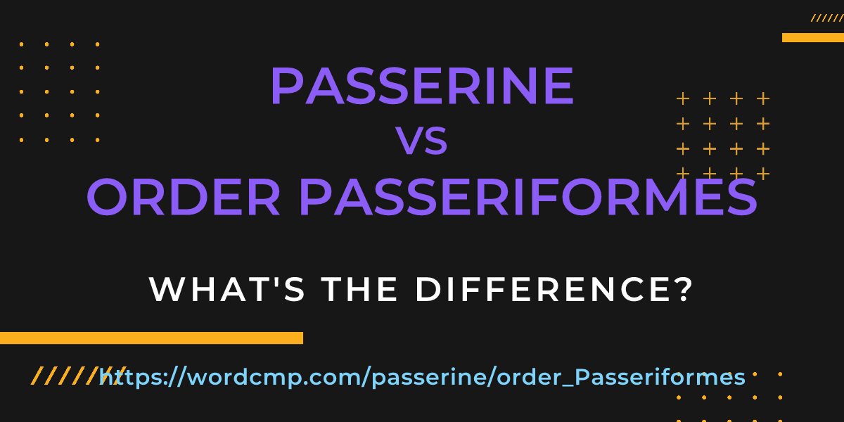 Difference between passerine and order Passeriformes
