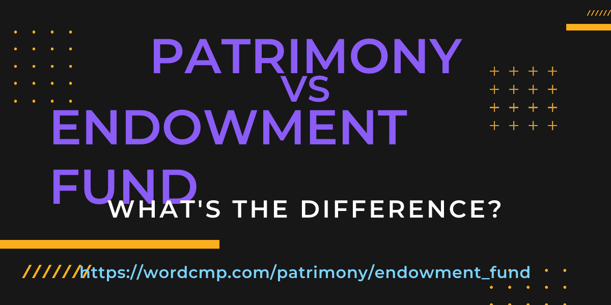 Difference between patrimony and endowment fund
