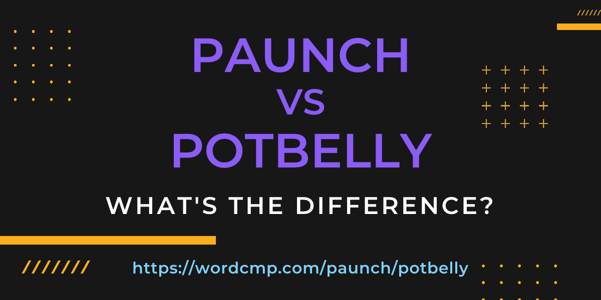 Difference between paunch and potbelly