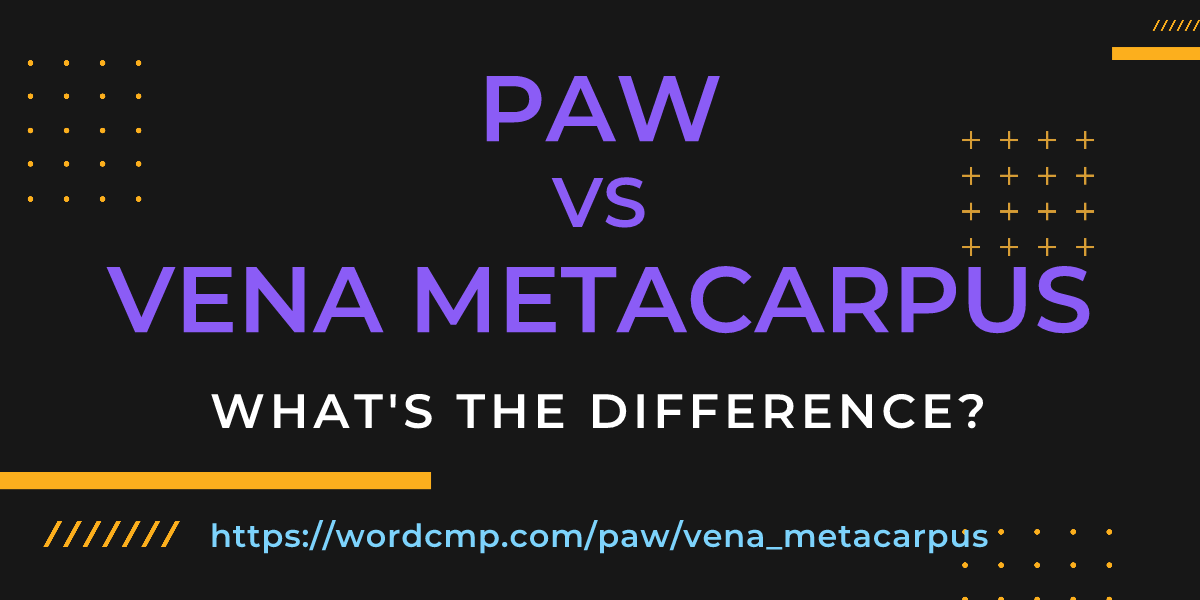 Difference between paw and vena metacarpus