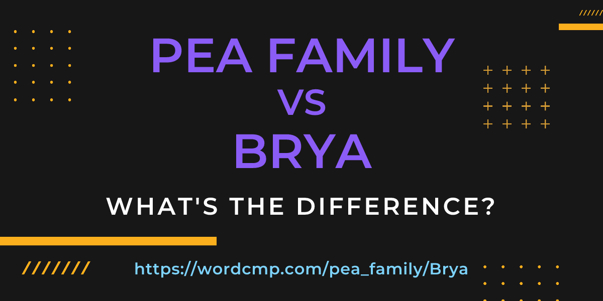 Difference between pea family and Brya