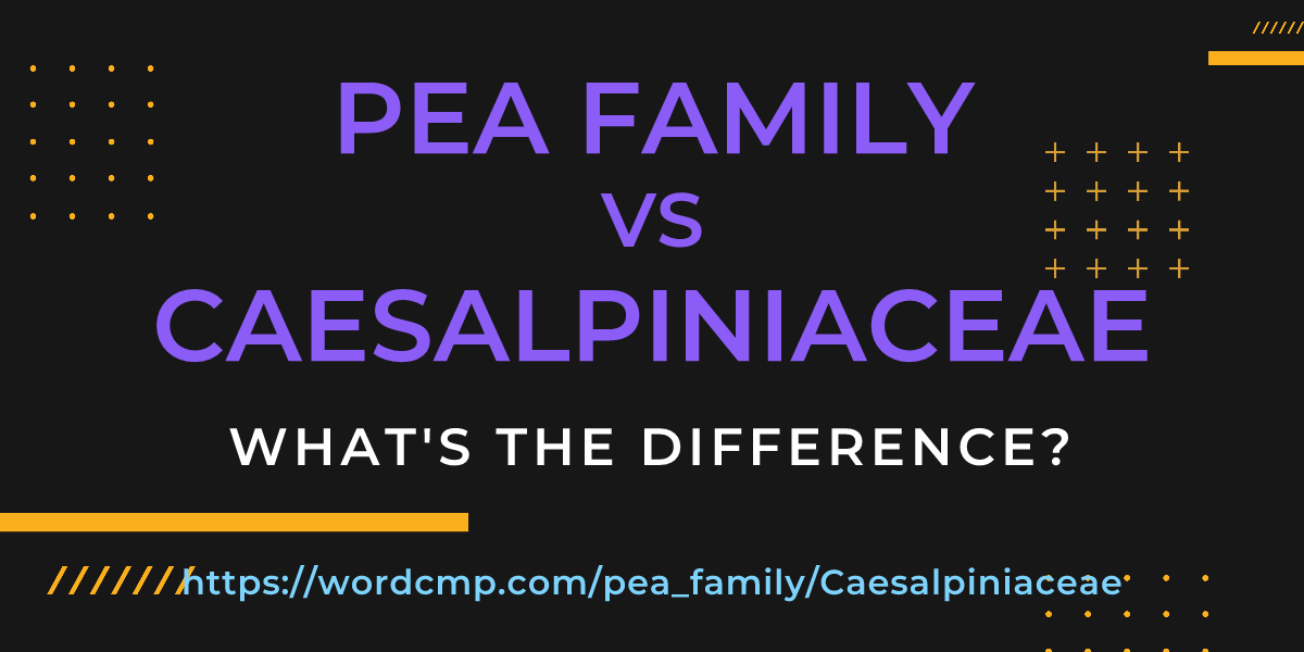 Difference between pea family and Caesalpiniaceae