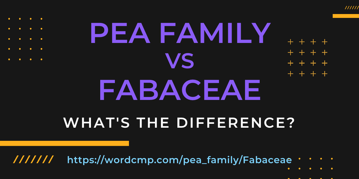 Difference between pea family and Fabaceae