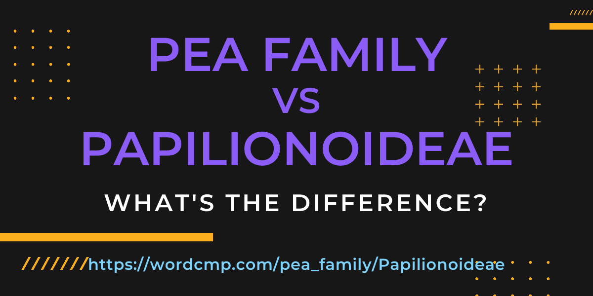 Difference between pea family and Papilionoideae