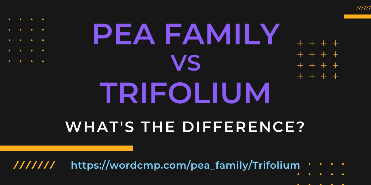 Difference between pea family and Trifolium