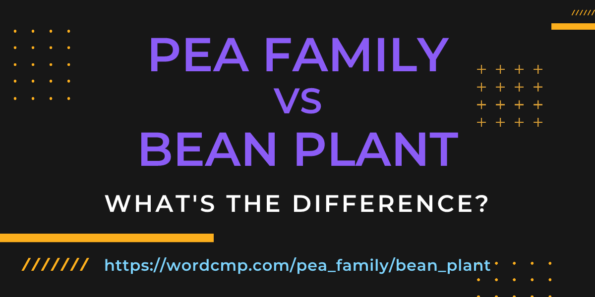 Difference between pea family and bean plant