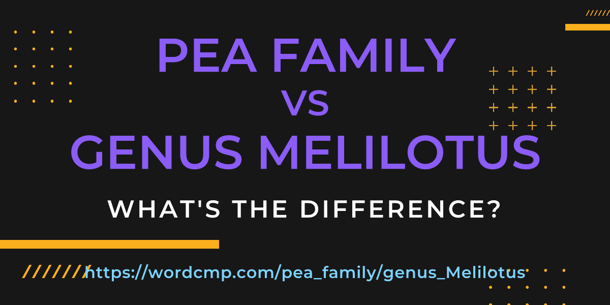 Difference between pea family and genus Melilotus