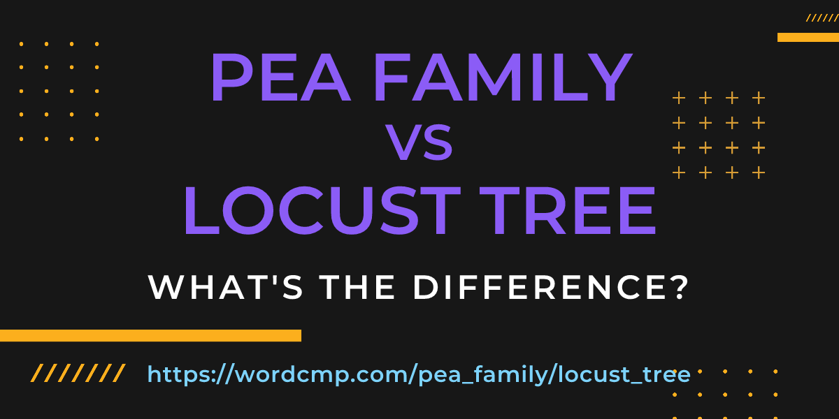 Difference between pea family and locust tree