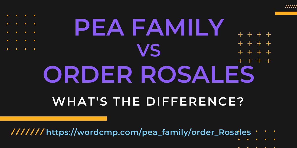 Difference between pea family and order Rosales