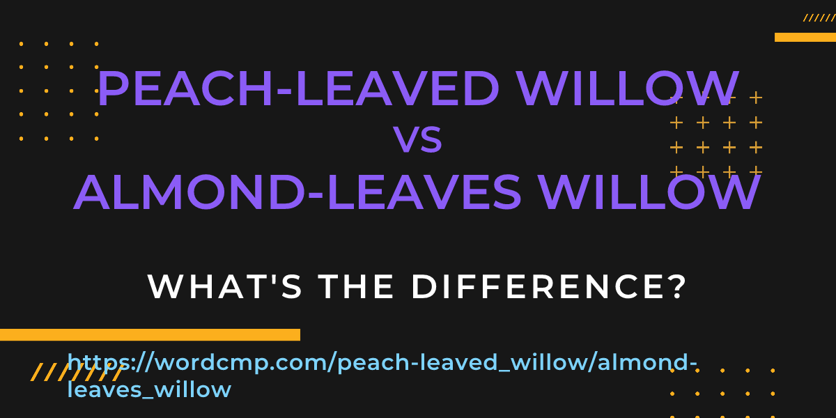 Difference between peach-leaved willow and almond-leaves willow
