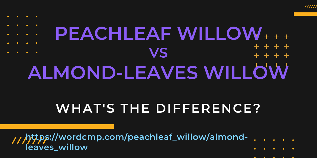Difference between peachleaf willow and almond-leaves willow
