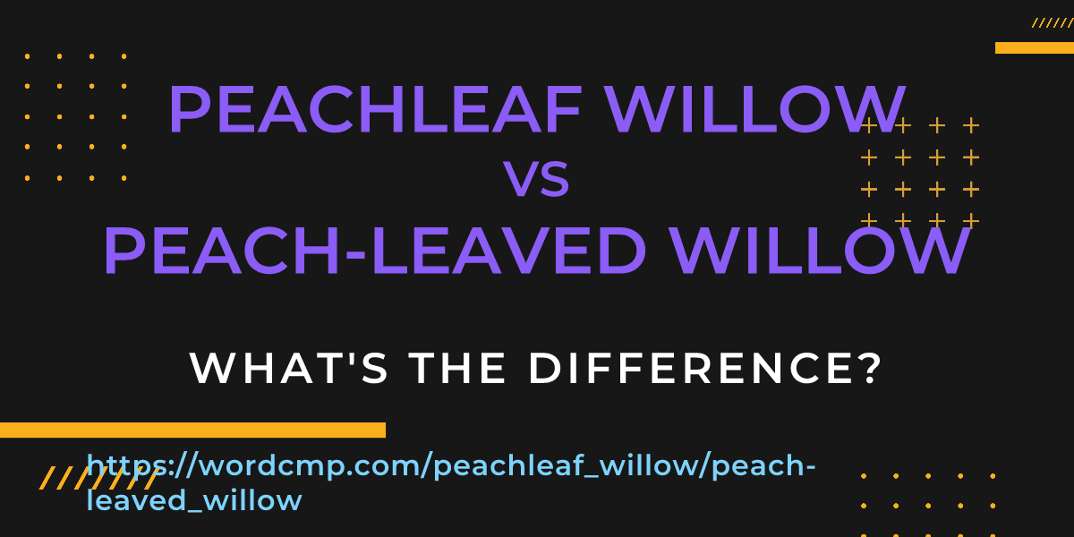 Difference between peachleaf willow and peach-leaved willow