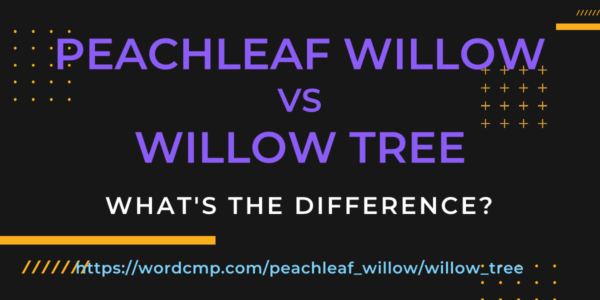 Difference between peachleaf willow and willow tree
