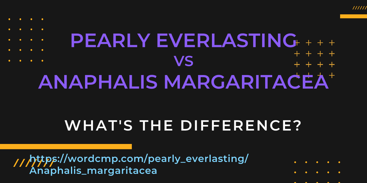 Difference between pearly everlasting and Anaphalis margaritacea