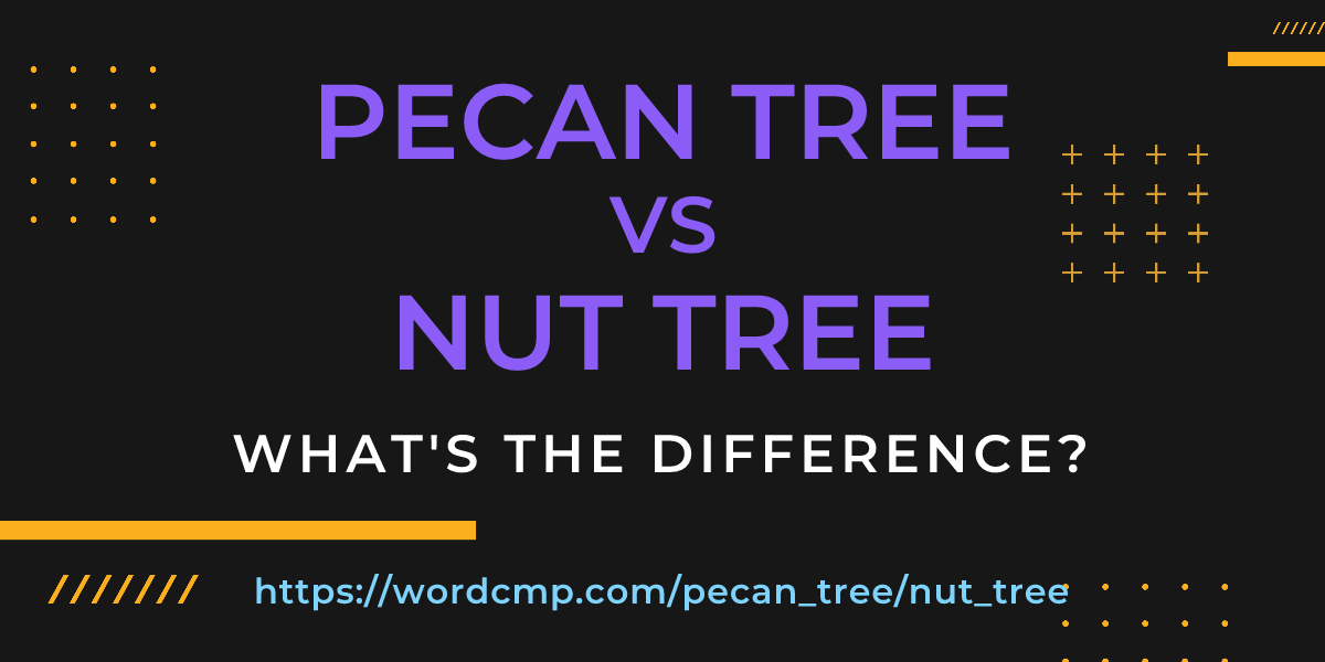 Difference between pecan tree and nut tree