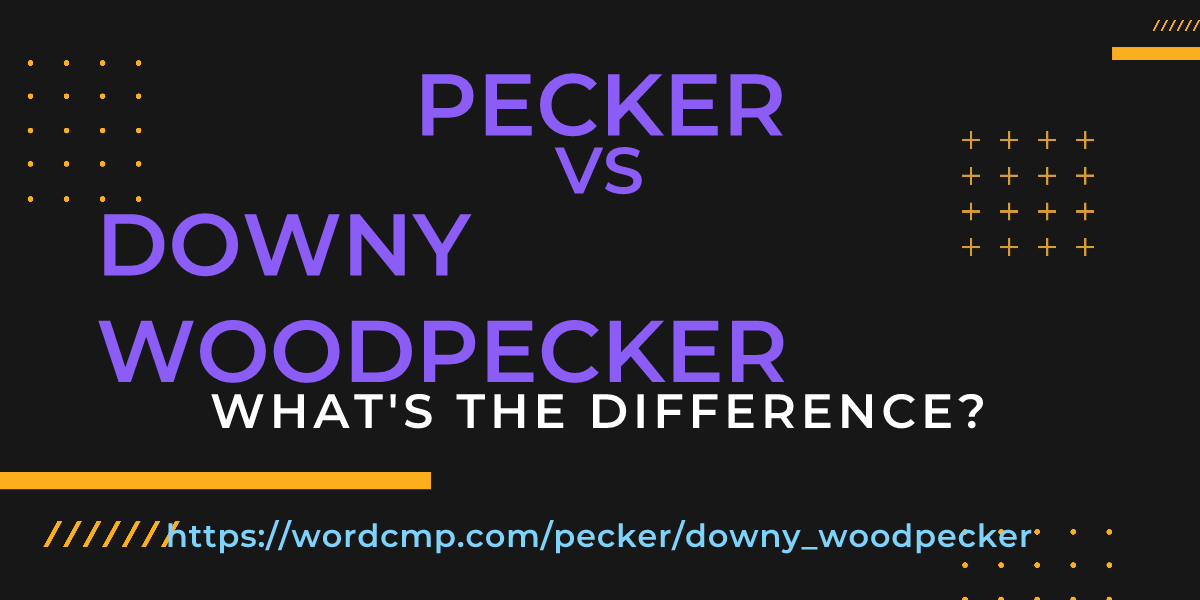 Difference between pecker and downy woodpecker