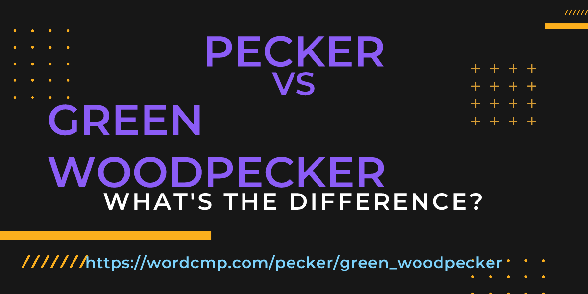 Difference between pecker and green woodpecker