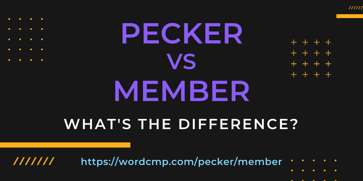 Difference between pecker and member