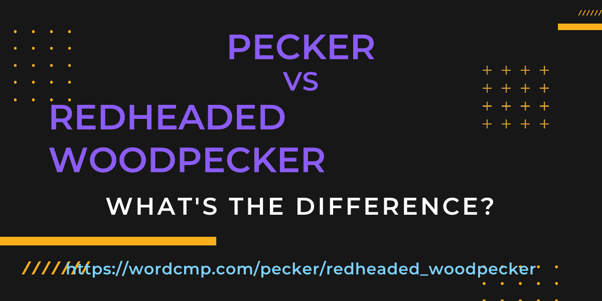 Difference between pecker and redheaded woodpecker